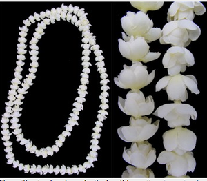 HL00026A — collier en soie artificiel pour femme, pendentif hawaïen, soirée de danse, disponible en 4 couleurs, 150CM, vente en gros - Product Image 6
