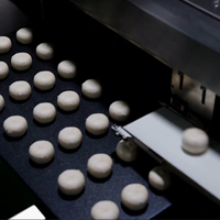 Prezzo di fabbrica di Elaborazione mochi maker Automatico Giappone Mochi Gelato Maker Machine
