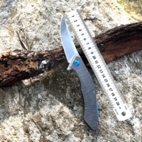 Couteau de poche Eagle Blade ZDT-013 pour l'extérieur, lame 14C28N, manche en titane, chasse, pêche, camping, escalade, survie, bricolage, qualité supérieure, 21,5 cm