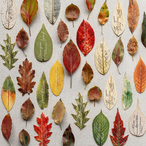 Papier de scrapbooking vintage en forme de feuille naturelle, <span class=keywords><strong>texte</strong></span> anglais cursive rétro, feuilles de plantes séchées découpées, feuilles de notes pour <span class=keywords><strong>collage</strong></span> botanique - Product Image 3