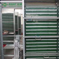 Collecteur d'œufs automatique en acier au carbone durable pour élevage de poulets commercial
