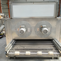 Doorlopende Industriële Elektrische Automatische Tunnel Transportband Droger Schone Droge Machine Voor Knoflook Bosbessen Elektrische Verwarming Gaasband