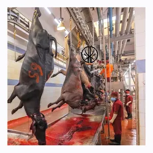 Excellent Factory Directly Produced Halal Cow Abattoir Equipment Butcher Machine Automatic Bleeding Convey Line For Buffalo