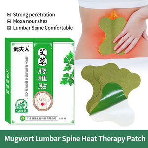 Parche Lumbar de Artemisia Natural Autocalentable para Alivio del Dolor Lumbar y Cuidado de la Cintura - Product Image 1