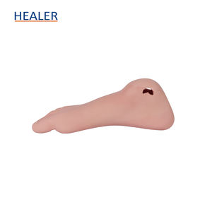 Modèle anatomique de squelette humain pour l'ulcération du pied diabétique pour démontrer les lésions et la douleur du pied dans les écoles - Product Image 3