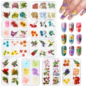 China Factory Mix Dried Flowers Nail Decorations Jewelry Natural Floral Leaf Stickers 3D Flowers Nail Art