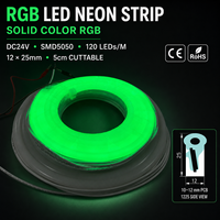 Ruban LED néon RGB 12x25mm, LED néon latérale, étanche, lumière néon RGB, DC24V SMD5050 pour projets extérieurs