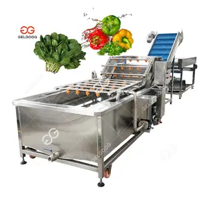 Mesin Pengering pembersih daun buah dan sayuran, Mesin Pengering dan cuci gelembung industri