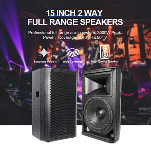 Equipo de sonido de gasa blanca personalizada/amplificadores/sistema de altavoces profesionales 500W 2000W altavoz pasivo de audio de 15 pulgadas - Product Image 2