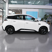 BYD Seagull Atto1 2026 Baru, 405KM EV Listrik Energi Baru FWD Baterai Lithium 5 Pintu 4 Kursi Hatchback Dolphin Surf