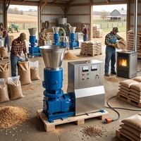 Machine à granulés de bois et de sciure de bois de biomasse 100-300 kg/h pour poêle à granulés et cheminée