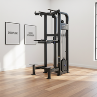 Máquina de Entrenamiento Ajustable y Resistente de Acero para Sentadillas y Dominadas, con Pila de Pesas de 138 kg, para Entrenamiento de Brazos, Espalda y Pecho - Uso Comercial Seguro Kaishi HM-3022