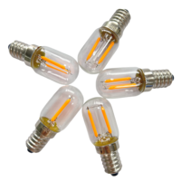 Ampoule LED E14 T22, 12V 2200K 1W, Convient aux lampes à bougies et aux veilleuses.