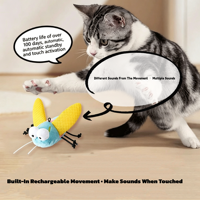 Jouet interactif pour chat rechargeable, jouet en peluche en forme de cigale activé par le toucher avec antenne lumineuse et son, jouet à mâcher