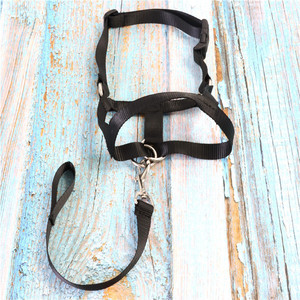 GZS-B-S Nose Ring Dog Muzzle Black Nylon Adjustable Size Smlxlxxl Safe Bark Control - Product Image 4