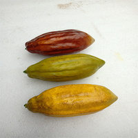Fruits artificiels hautement réalistes et imitations de fruits de cacao, accessoires de photographie pour cafés, décoration de fruits et éléments de paysage