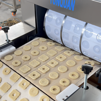 Nouvelle machine automatique de moulage rotatif pour la fabrication de biscuits pour chiens et de biscuits au beurre, pour usage en boulangerie, avec des ingrédients tels que la farine, le lait, l'eau.
