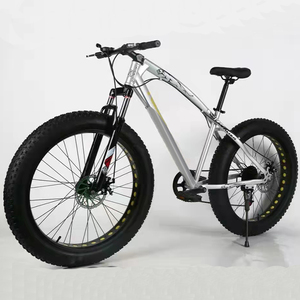 Bicicleta de Montaña con Llantas Gruesas 4.0, Diseño de Cuadro de Acero para Nieve y Arena, Precio de Fábrica en China, Personalización Disponible - Product Image 1