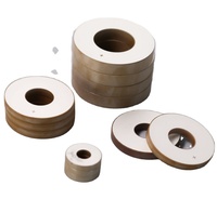 PZT5 Piezo piringan keramik square piezoelektrik keramik Wafer Sensor ultrasonik transduser ultra-tipis Chip keramik Wafer