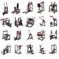 Equipo Profesional de Gimnasio Comercial con Carga de Placas de Acero para Entrenamiento de Fuerza: Remo Alto y Peso Muerto