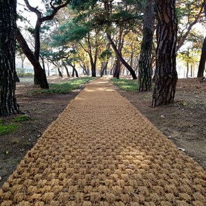 100% Eco Friendly Coconut Fiber Coir <b>Mat</b> <b>Roll</b> From Vietnam Brown Walkway Paving <b>Mat</b> Natural Coir Flooring 65kg Landscape Use - Product Image 1