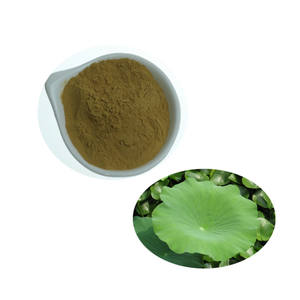 10:1天然ロータス葉エキス粉末プレミアム植物エキス - Product Image 1