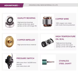 WZB Series End Suction <strong>Electric</strong> Single Stage Self Suck Clean Water Pressure Silent Booster <strong>Pump</strong> for Family Homes - Product Image 3