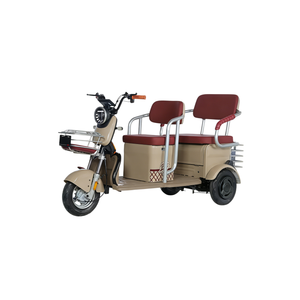 Triciclo Eléctrico Casual de Exportación <span class=keywords><strong>para</strong></span> Comercio Exterior, <span class=keywords><strong>Scooter</strong></span> de <span class=keywords><strong>Movilidad</strong></span> <span class=keywords><strong>para</strong></span> Mayores, Alta Potencia, 300-400kg, 30km/h, 30km - Product Image 6