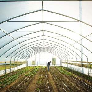 Super affaire de construction d'une serre à Tunnel, <span class=keywords><strong>prix</strong></span> de serre - Product Image 6