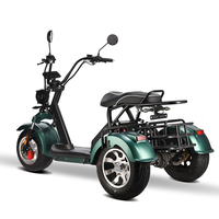 Scooter électrique pliable intelligent GPS Loyal, étanche, 4000W, 3 roues, avec batterie au lithium, autonomie de 60 à 100 km, vitesse de 50 km/h