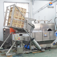 Industriële machine voor het lossen van fruit en groenten, aardappelen, wortelen, ananas, maïs; kratlosser en invoermachine