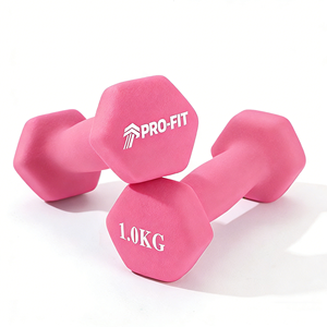 1kg ブラックピンク 六角形 鉄製ウェイト ダンベル 家庭用ヨガ ジムトレーニング用（軽微な欠陥あり） - Product Image 1