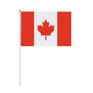 Оптовая продажа, многоразмерный пользовательский дизайн, полиэфирный флаг всех стран, палестинский американский флаг - Product Image 6