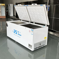 Vente Flash Premium 460L -35 ℃   Congélateur horizontal pour magasin de proximité, porte plate, panneau LED, classe énergétique A+, pour crème glacée