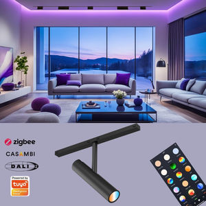 Faretto Lineare a Bassa Tensione da Incasso su Binario con Dimmer DALI, Compatibile Tuya Zigbee, per Sistema Smart Home 48V, Binario Magnetico LED per <span class=keywords><strong>Casa</strong></span> Intelligente - Product Image 4