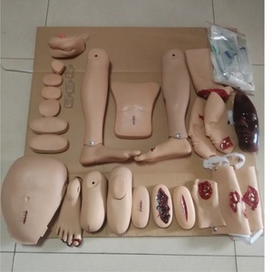 Mannequins de formation aux soins infirmiers traumatiques J110, mannequins médicaux de premiers secours, modèle pour l'enseignement professionnel des sciences médicales - Product Image 5