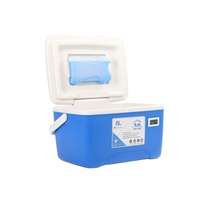 Portable Pique-Nique Bière Peut Isolé Glace Glacière Potable En Plastique Isolation Grand Mini Extérieur 8L