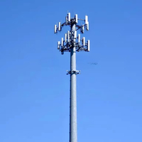 Fournisseur de tours de communication monopôles extérieures pour le support d'antennes et l'utilisation en zone cellulaire