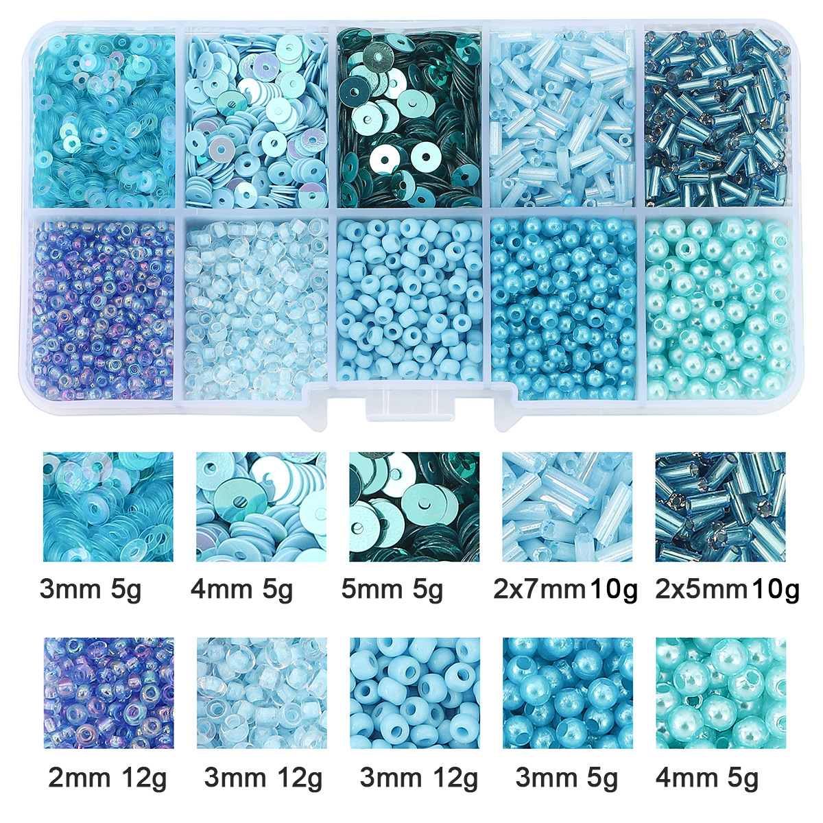 Bleu x 10 compartiments