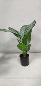 ใบ <span class=keywords><strong>Calathea</strong></span> ประดิษฐ์,สีเขียวผ้าไหมพร้อมขอบสีขาวสำหรับตกแต่งโต๊ะในร่ม - Product Image 4