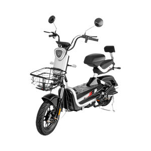 Motocicleta Eléctrica para Uso Diario, 48V, Velocidad Máxima de 40-60 km/h, Económica para <span class=keywords><strong>Viajes</strong></span> a Rusia, Bielorrusia y Kazajstán - Product Image 1
