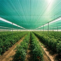 30%-95% schaduwpercentage, heavy-duty HDPE draagbaar opvouwbaar gaas voor tomatenkwekerij, koeling, landbouw schaduwnet voor buiten