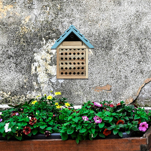 Maison d'insectes antique en bois de <span class=keywords><strong>sapin</strong></span>, hôtel pour insectes, maison d'insectes en bois pour la ferme, décoration extérieure de jardin - Product Image 6