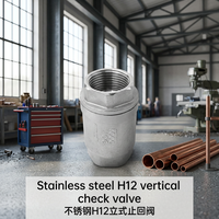 Vanne de contrôle verticale H12 en acier inoxydable, à ressort, filetée, OEM, manuelle, pour eau, huile, gaz, 1/2"-2" BSP NPT PN16