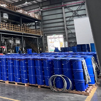 Hanepoxy 113E, apprêt époxy haute performance pour sols, revêtements, agent de durcissement primaire à base d'amine aromatique, adhésif de construction
