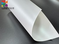 Film imprimable laser double face de qualité professionnelle, finition brillante et durabilité supérieures