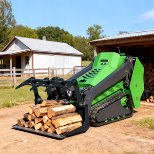 لودر انزلاقي صغير مجنزر صيني للبيع، توصيل سريع، من مصنعي اللودرات الانزلاقية - Product Image 3