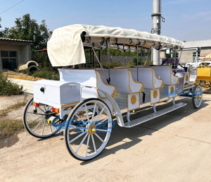Carruaje Clásico de Princesa Real/Carruaje de Cenicienta para Bodas/Carro Eléctrico de Turismo Extendido en Venta - Product Image 5