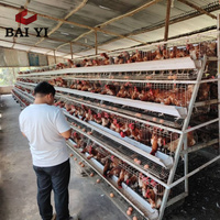 Jaula de alambre de acero comercial usada para huevos y pollos con larga vida útil, modelo BAIYI BYCC-01, en Guangzhou, China Trade