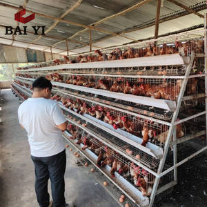 Jaula para Pollos <span class=keywords><strong>de</strong></span> <span class=keywords><strong>Segunda</strong></span> <span class=keywords><strong>Mano</strong></span>, Comercial, en Guangzhou, China - Product Image 1